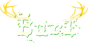 burl-titel-web