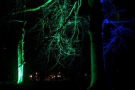 gloeiworm bomen foto mes