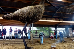 w2016-Uw-Kruidenrijk-Kome-foto-Eric-Langendoen