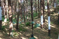 a-kaspar-oerol-16