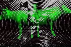 koe-kroost-still-08-web