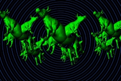 koe-kroost-still-09-web