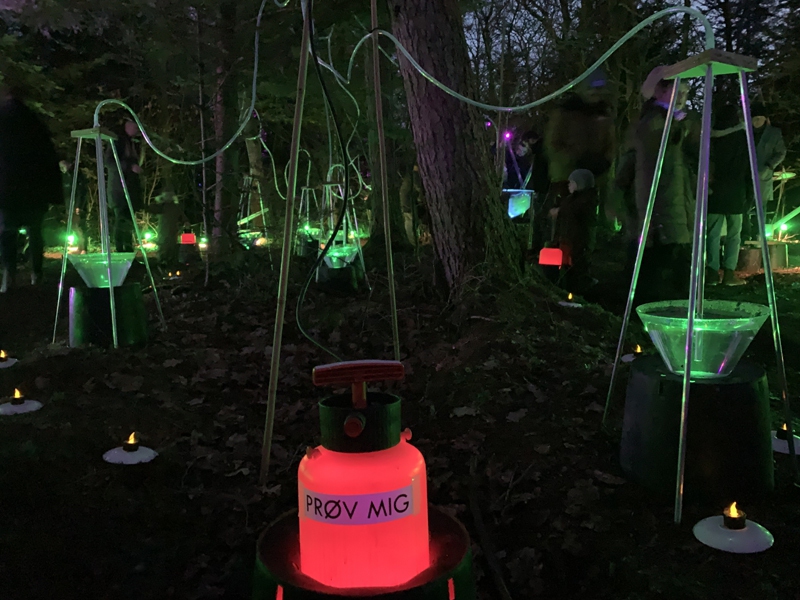 Vinterlys-Mystical-Forest-09-a