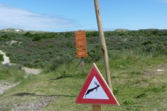 oversteek-web-01
