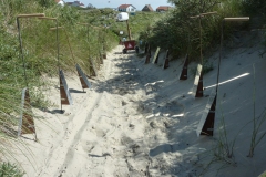 oversteek-web-12