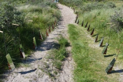 oversteek-web-13