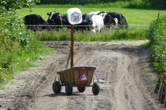oversteek-web-20