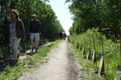 oversteek-web-22