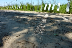 oversteek-web-25