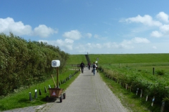oversteek-web-29