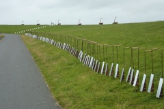 oversteek-web-33