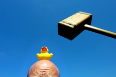 waterlanders-piep-onderstroom-foto-eric-langendoen-web