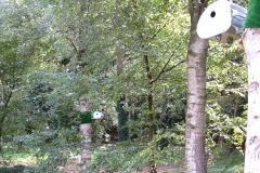 zomergasten-1