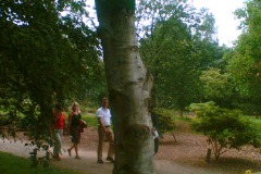 zomergasten-2